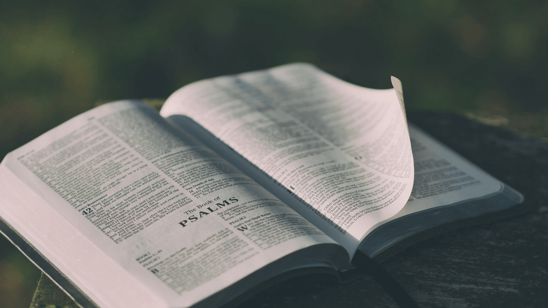 Featured image for “Avoid foolishness: pursue wisdom”